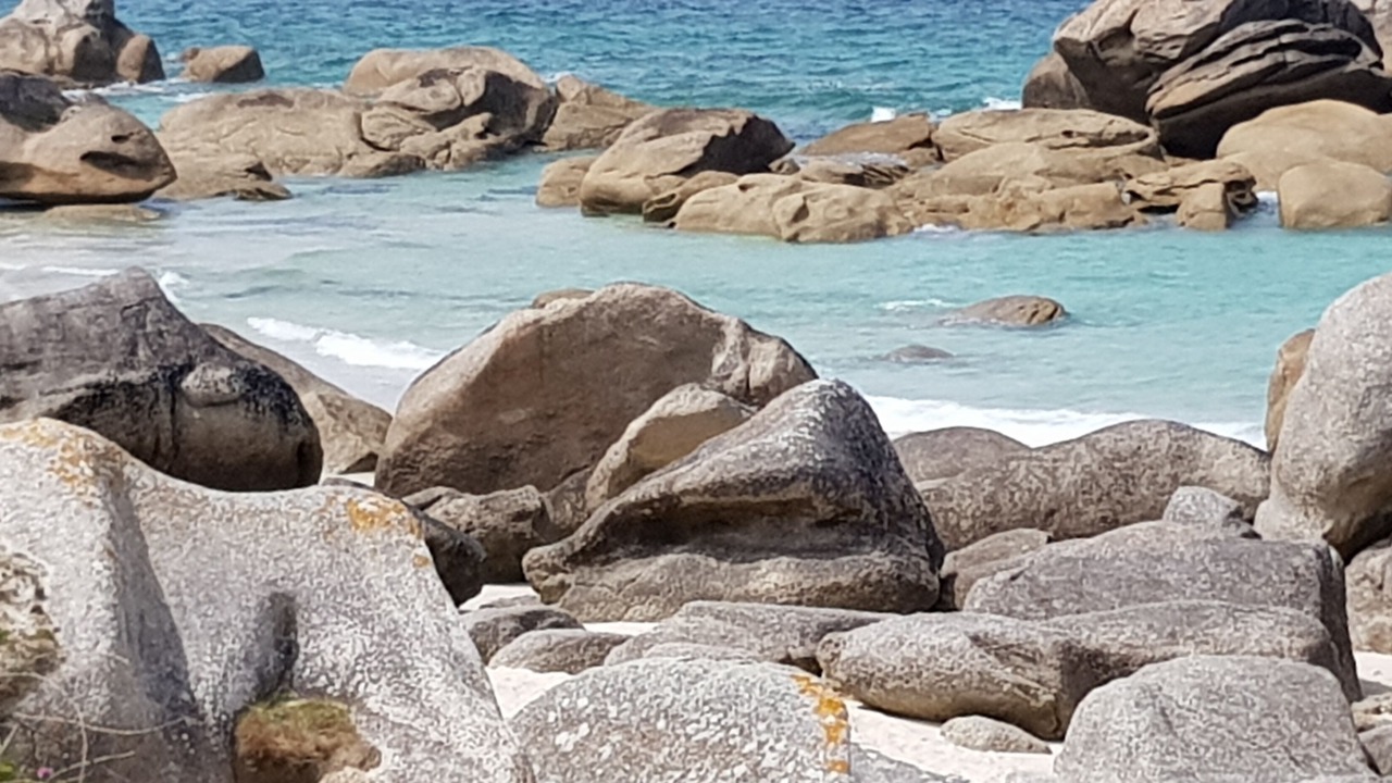 Photo of Others in Roscoff
