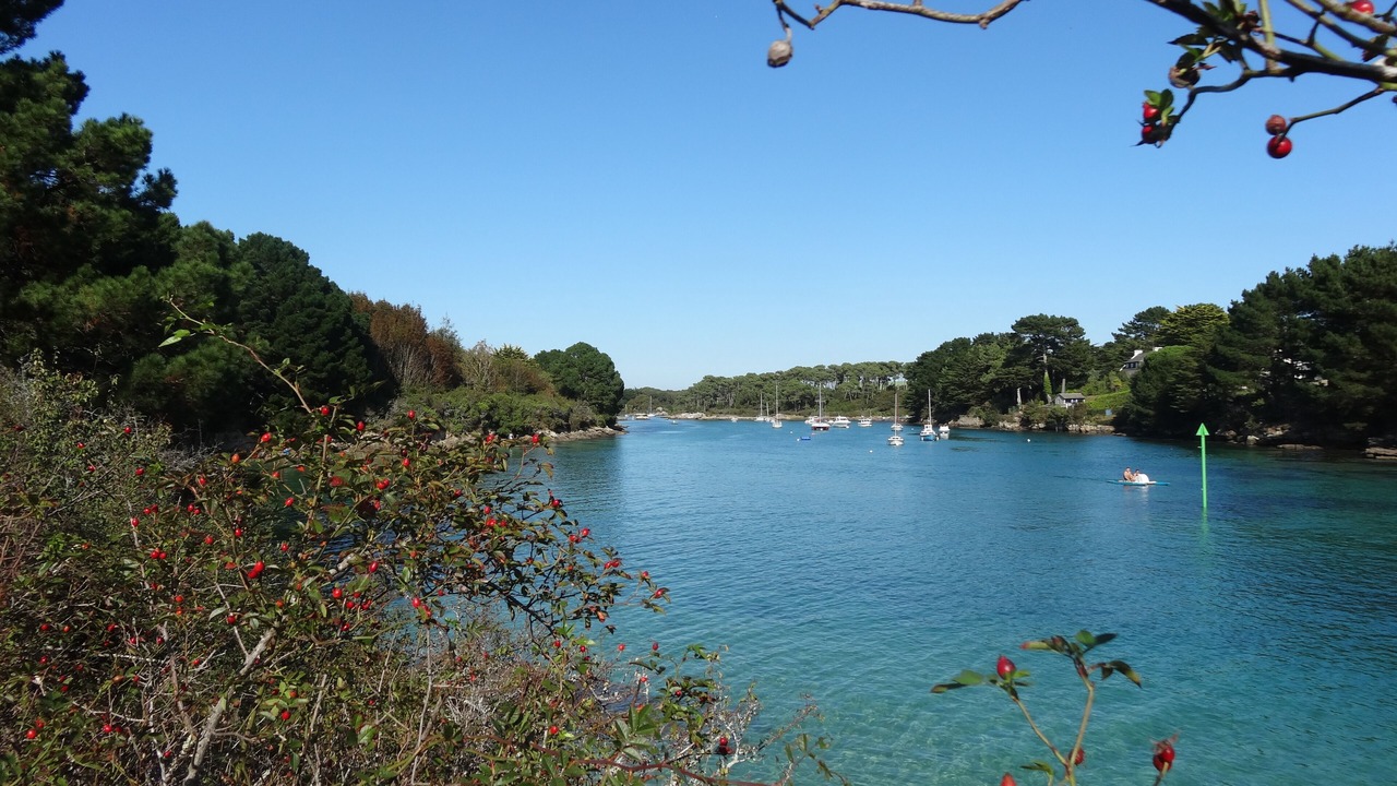 Photo of Others in Concarneau