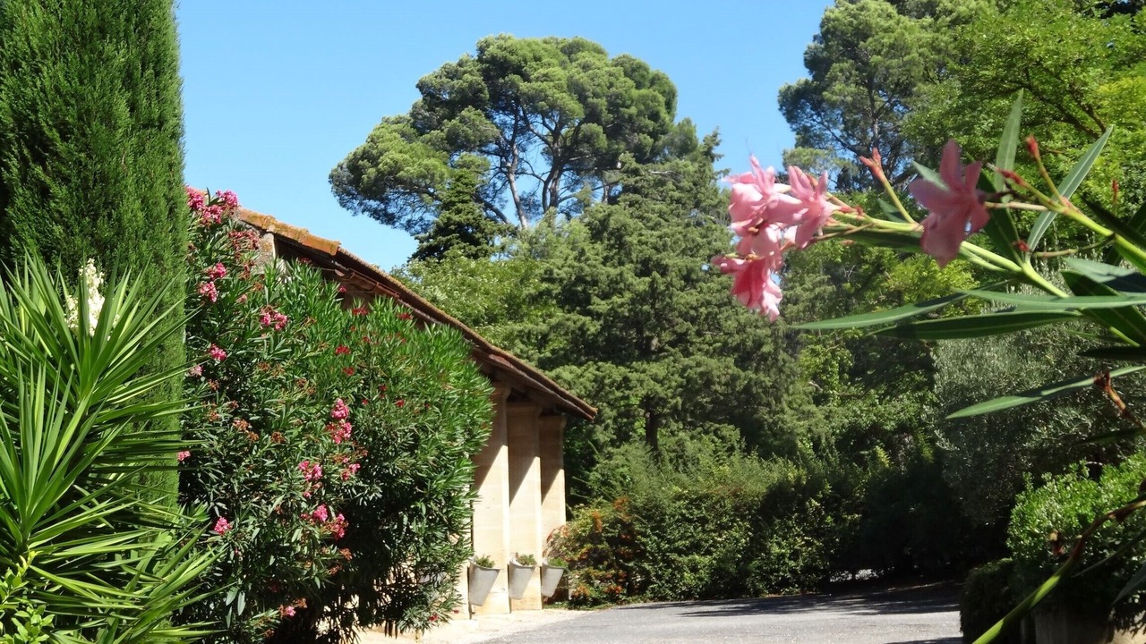 Photo of Outdoor in Narbonne