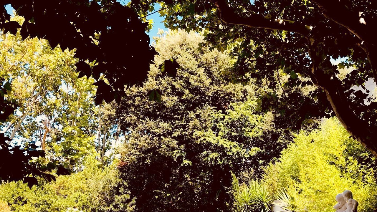 Photo of Outdoor in 8th Arrondissement