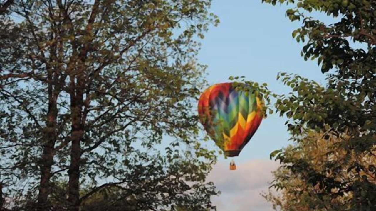 Photo of Outdoor in Howell