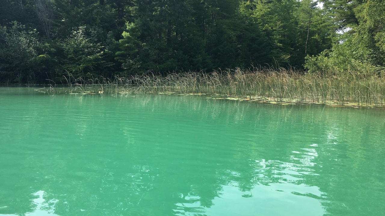 Photo of Others in Waupaca
