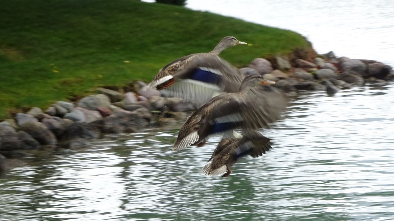 Photo of Others in Waupaca