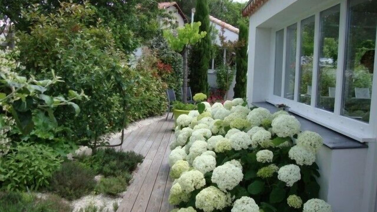 Photo of Outdoor in Les Mathes