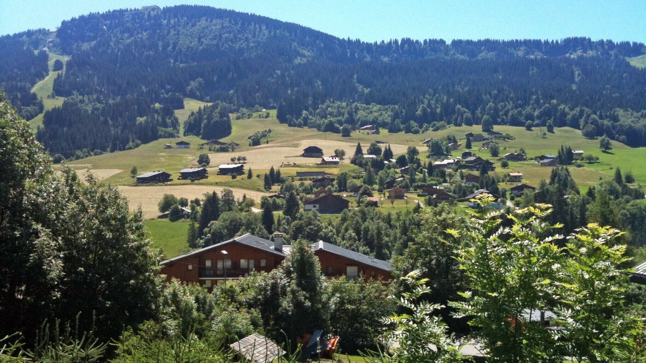 Photo of Outdoor in Praz-sur-Arly