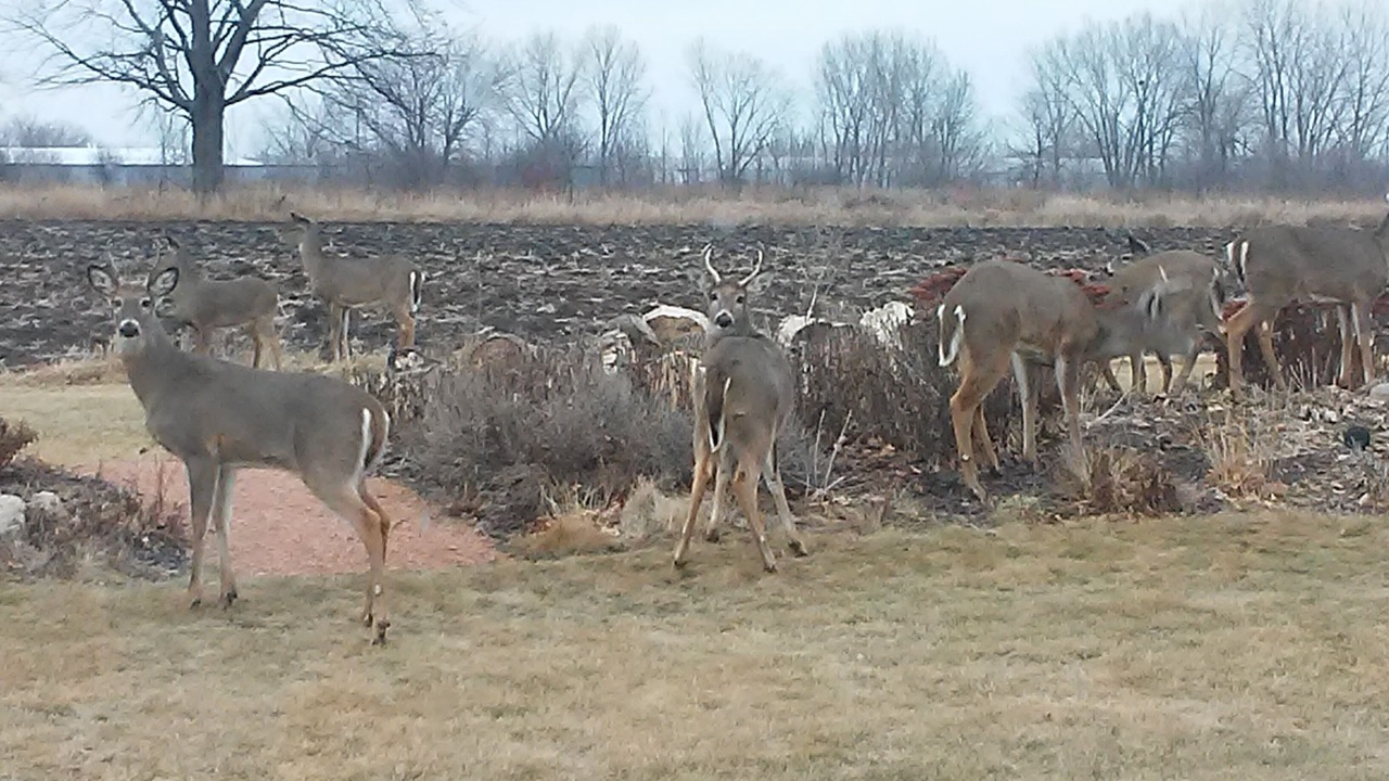 Photo of Others in Oshkosh