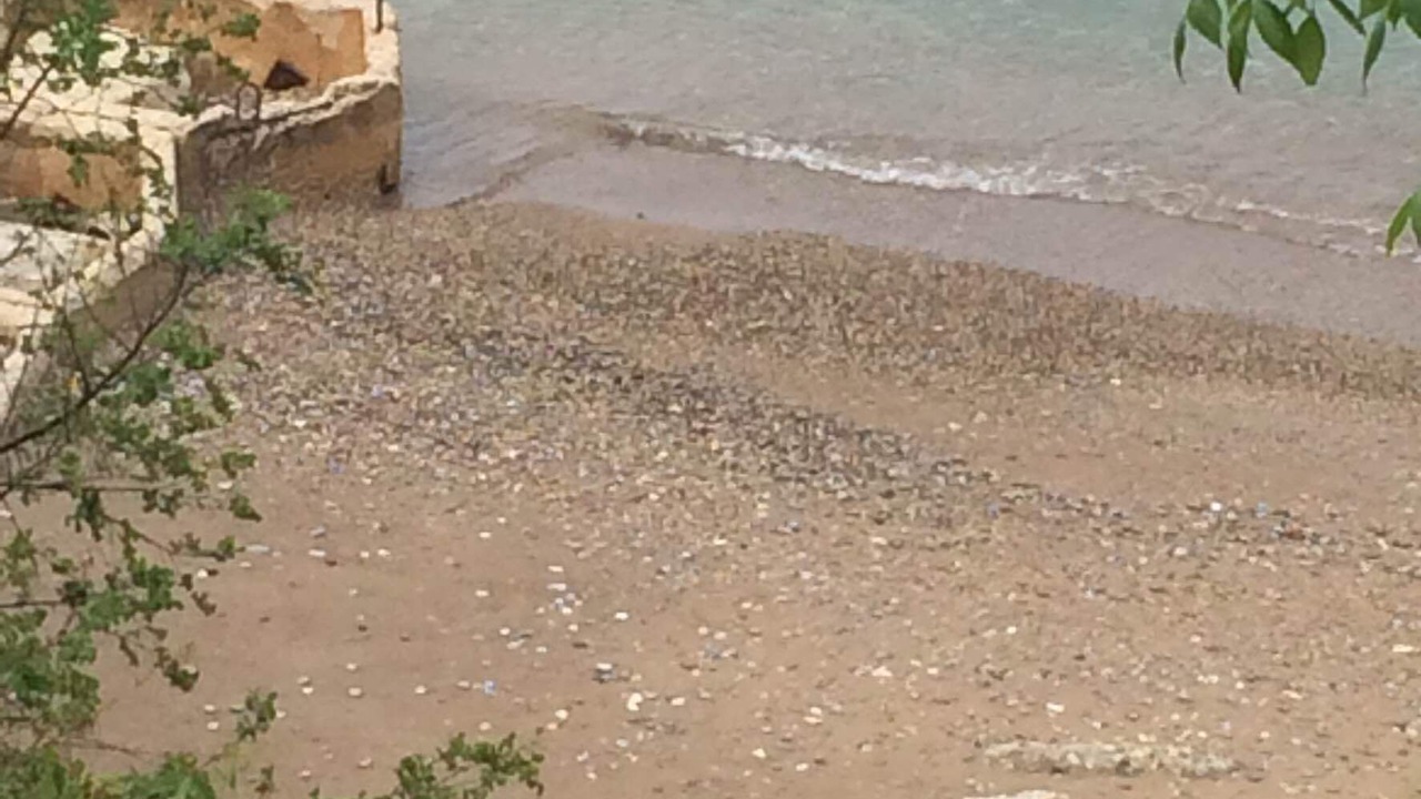 Photo of Others in Racine