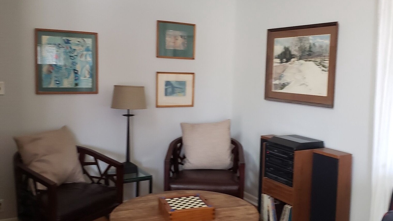 Photo of Livingroom in Miller Beach