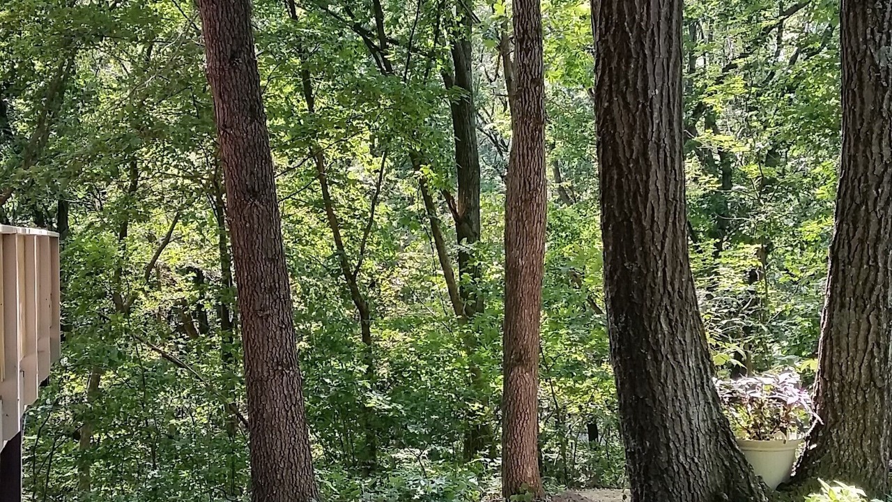 Photo of Others in Eastman