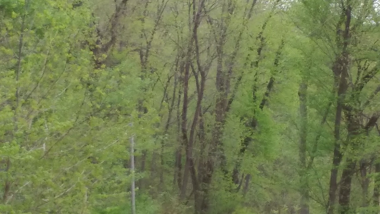 Photo of Others in Eastman