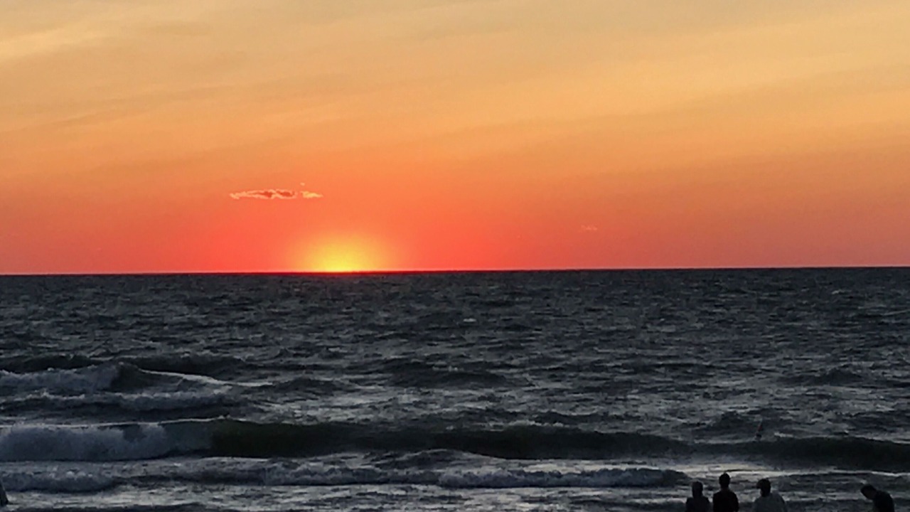 Photo of Others in South Haven