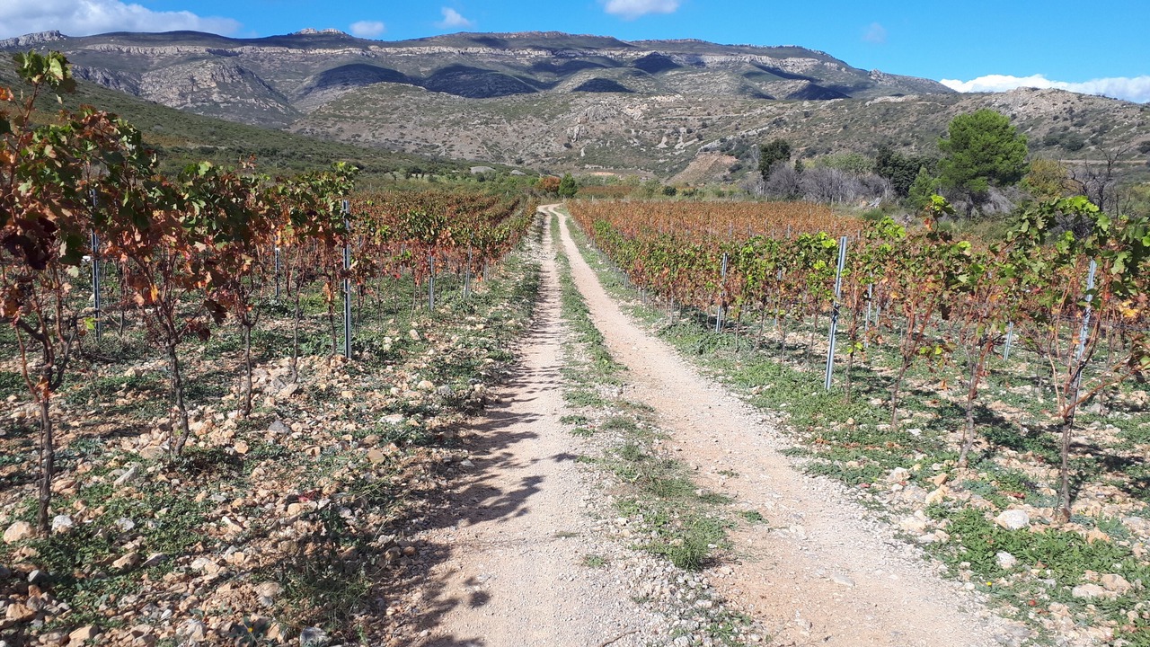 Photo of Outdoor in Paziols