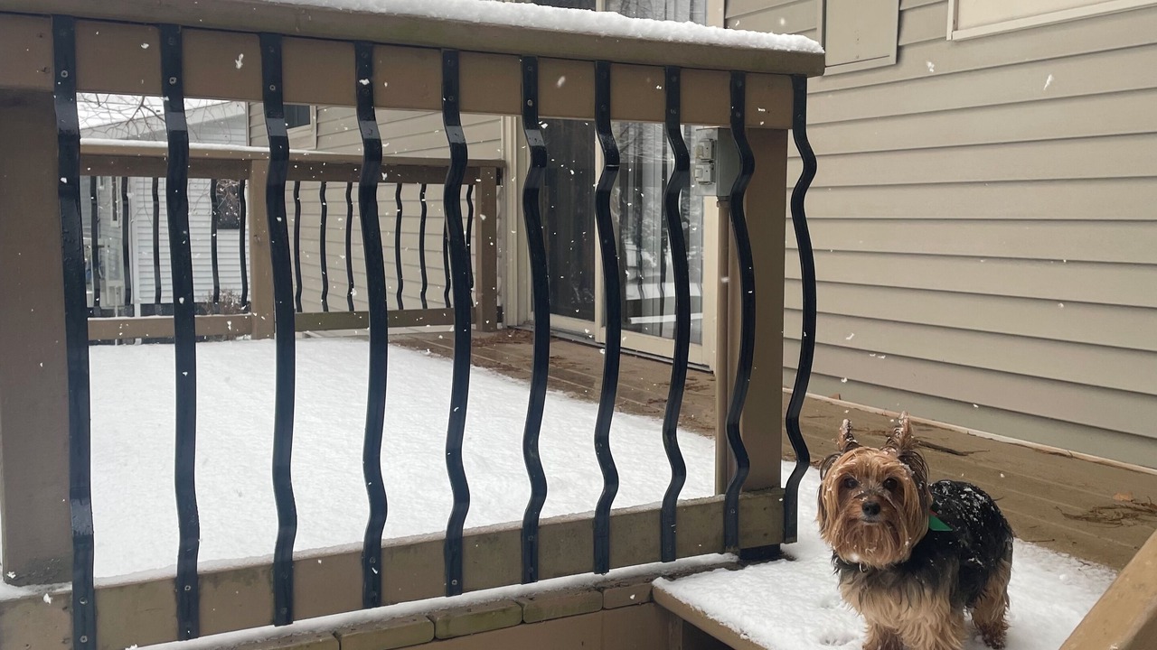 Photo of Others in Beachwood-Bluffton