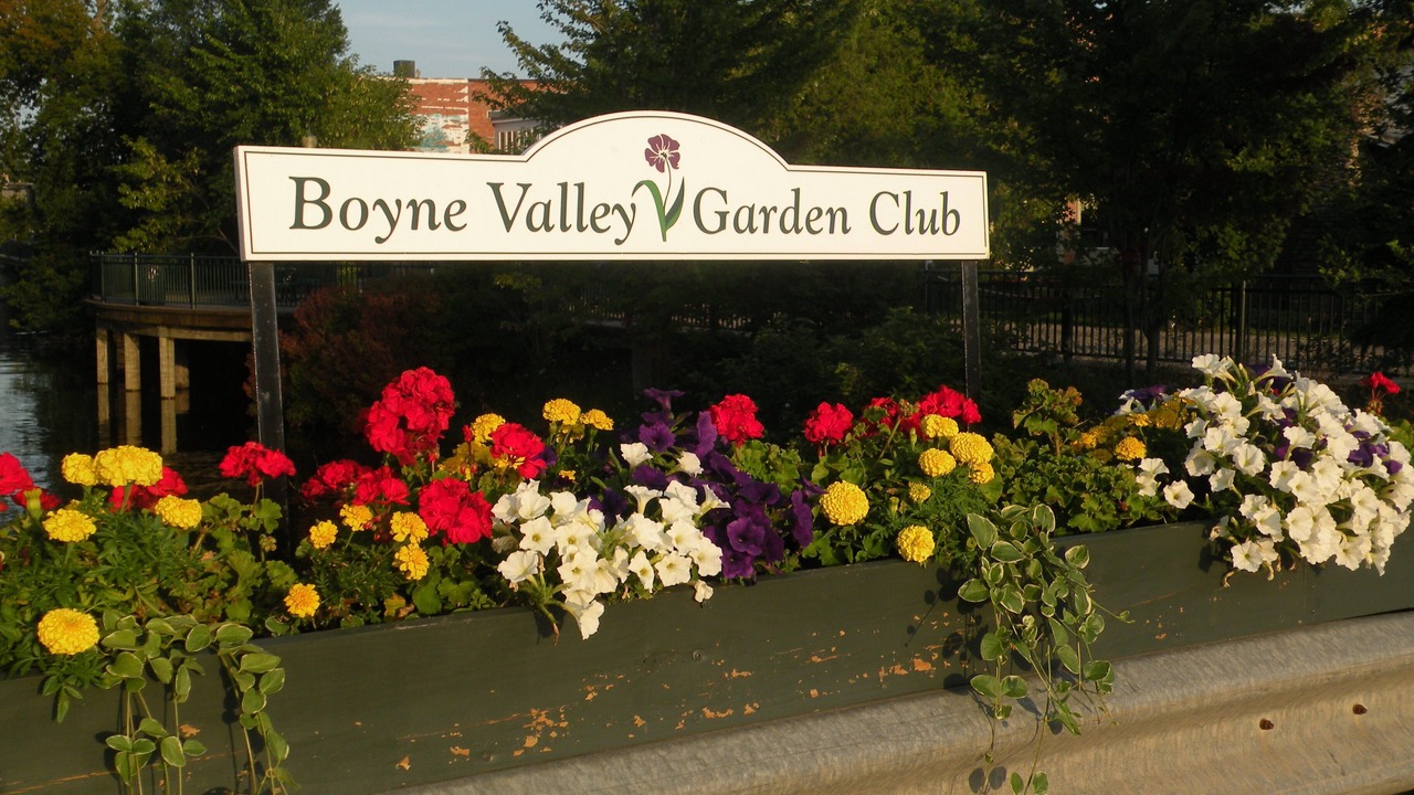 Photo of Outdoor in Boyne City
