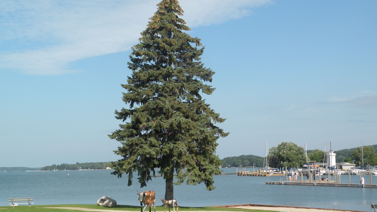 Photo of Outdoor in Boyne City