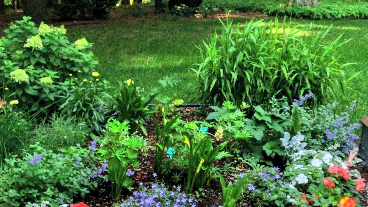 Photo of Outdoor in Montague