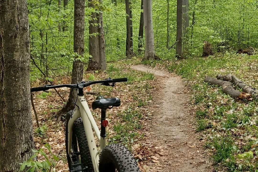Photo of Outdoor in Boyne Falls