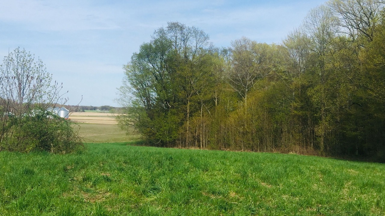 Photo of Others in Fennville