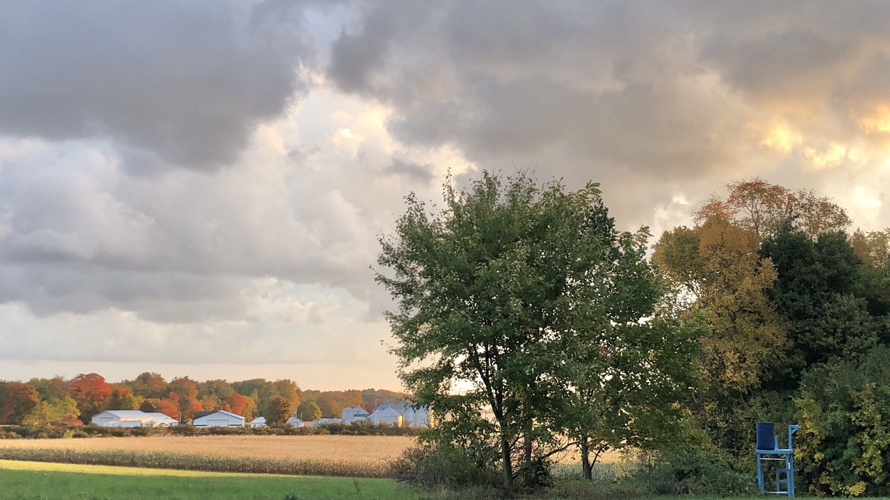 Photo of Outdoor in Fennville
