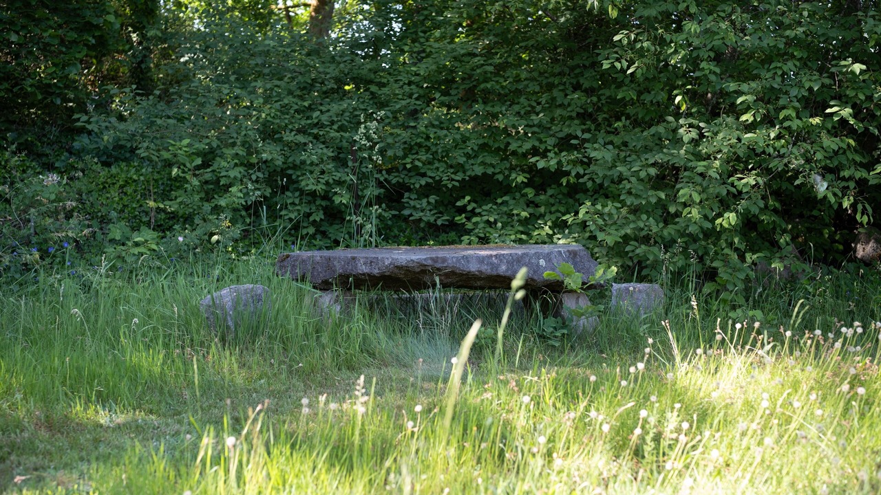 Photo of Others in Vagney