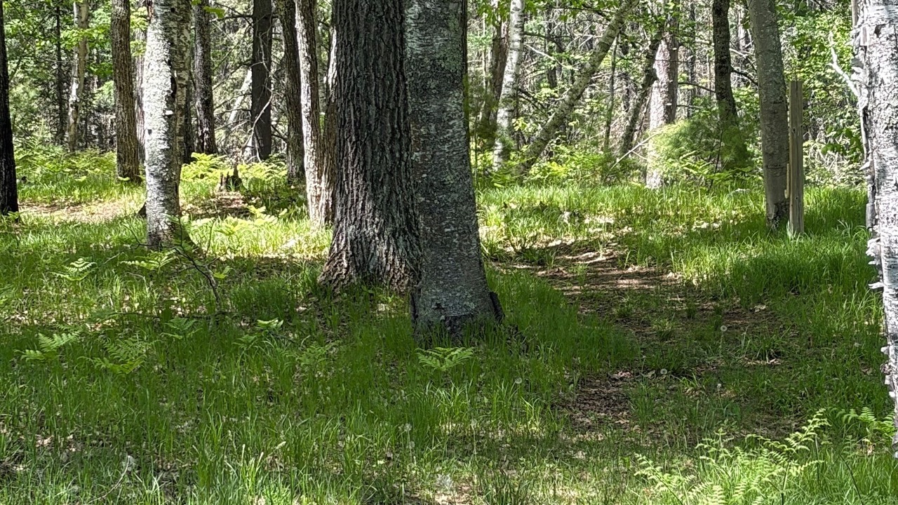 Photo of Others in Boulder Junction