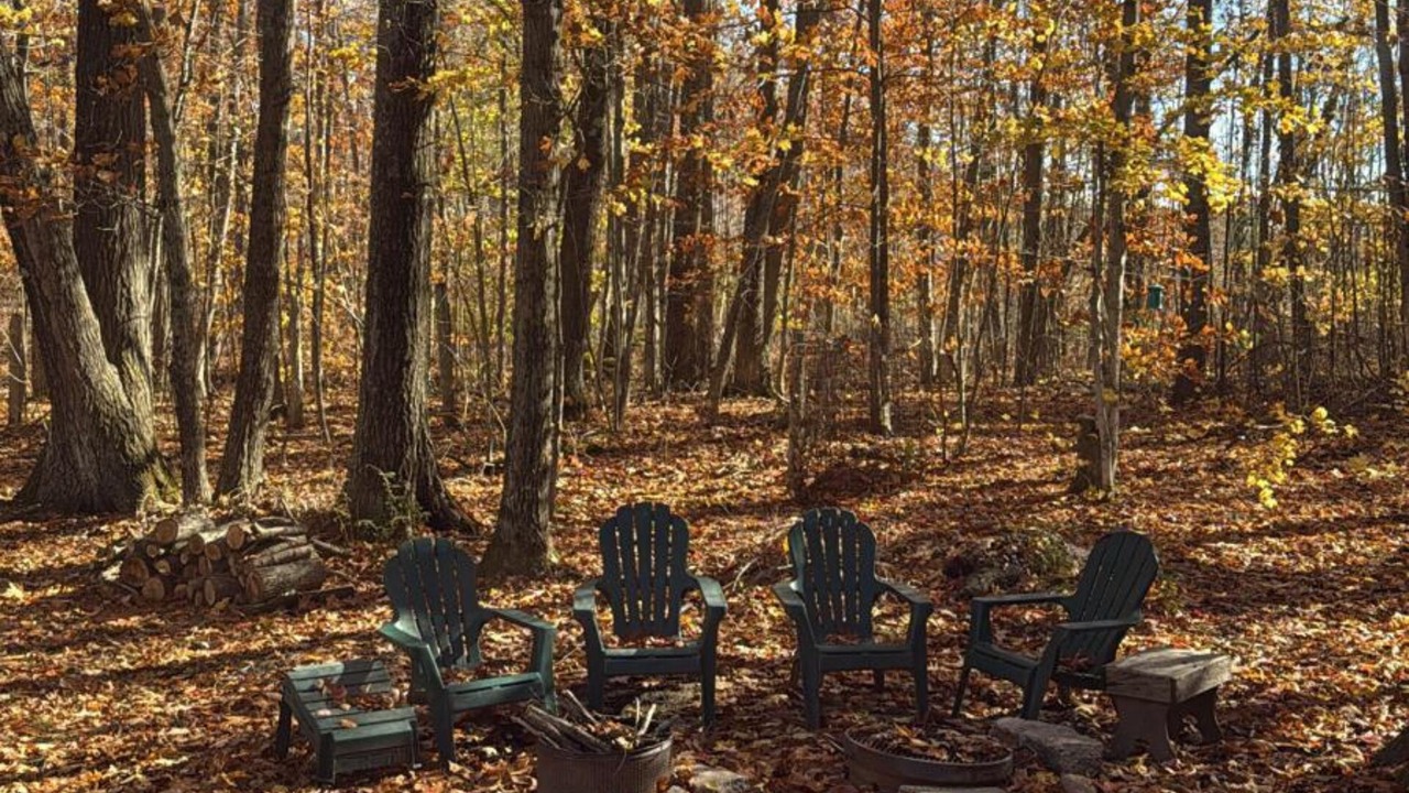 Photo of Others in Carp Lake