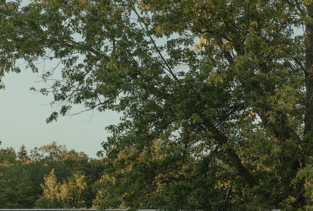 Photo of Outdoor in Muskegon