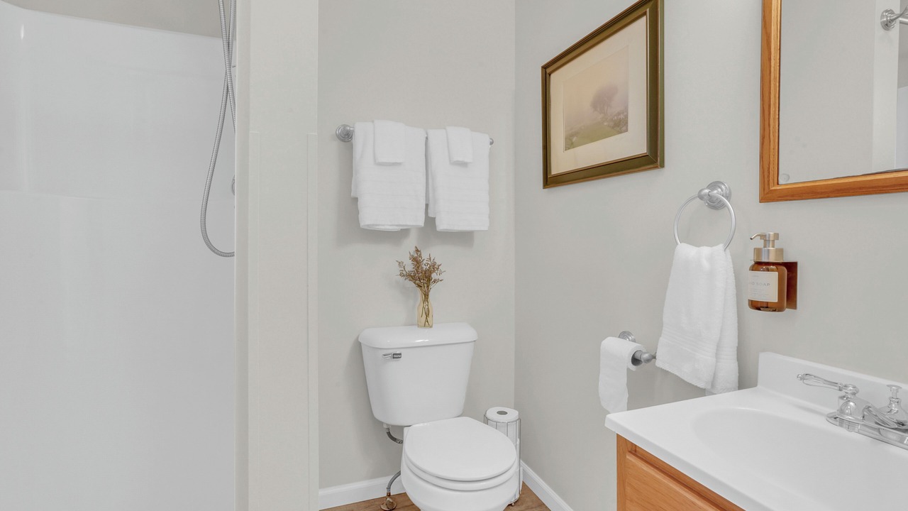 Photo of Bathroom in Carp Lake