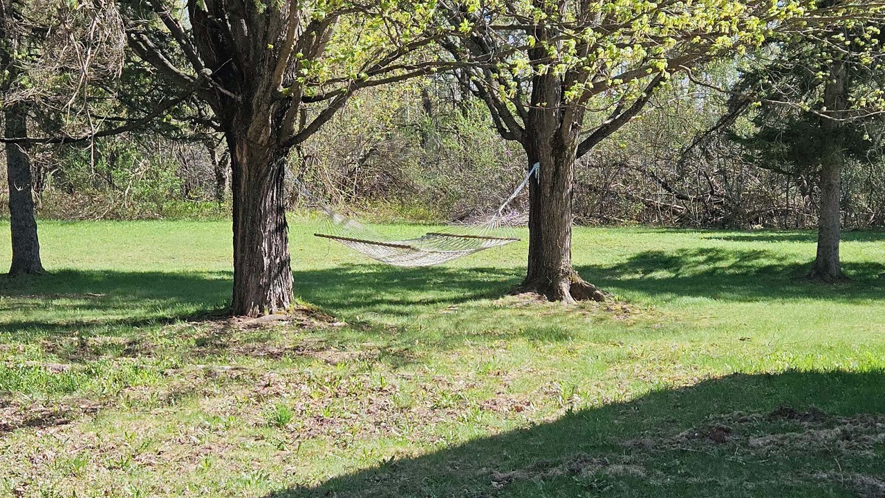 Photo of Outdoor in Ironwood