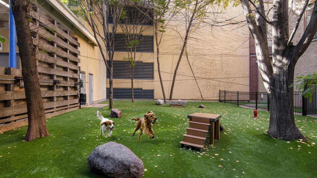 Photo of Outdoor in Near North Side