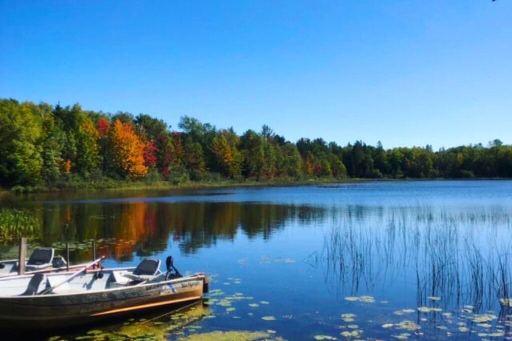 Photo of Others in Trout Lake