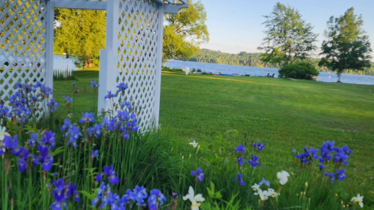 Photo of Outdoor in Michigamme