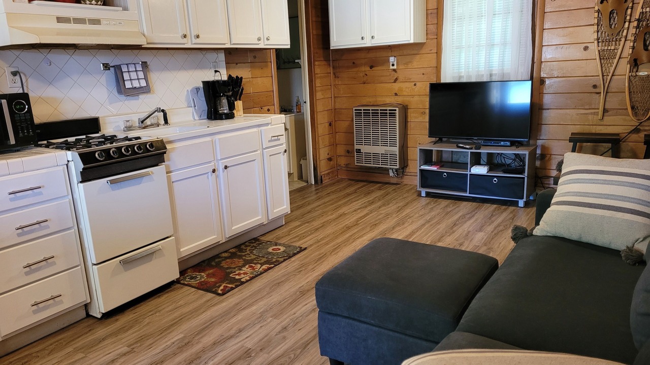 Photo of Livingroom in Newaygo