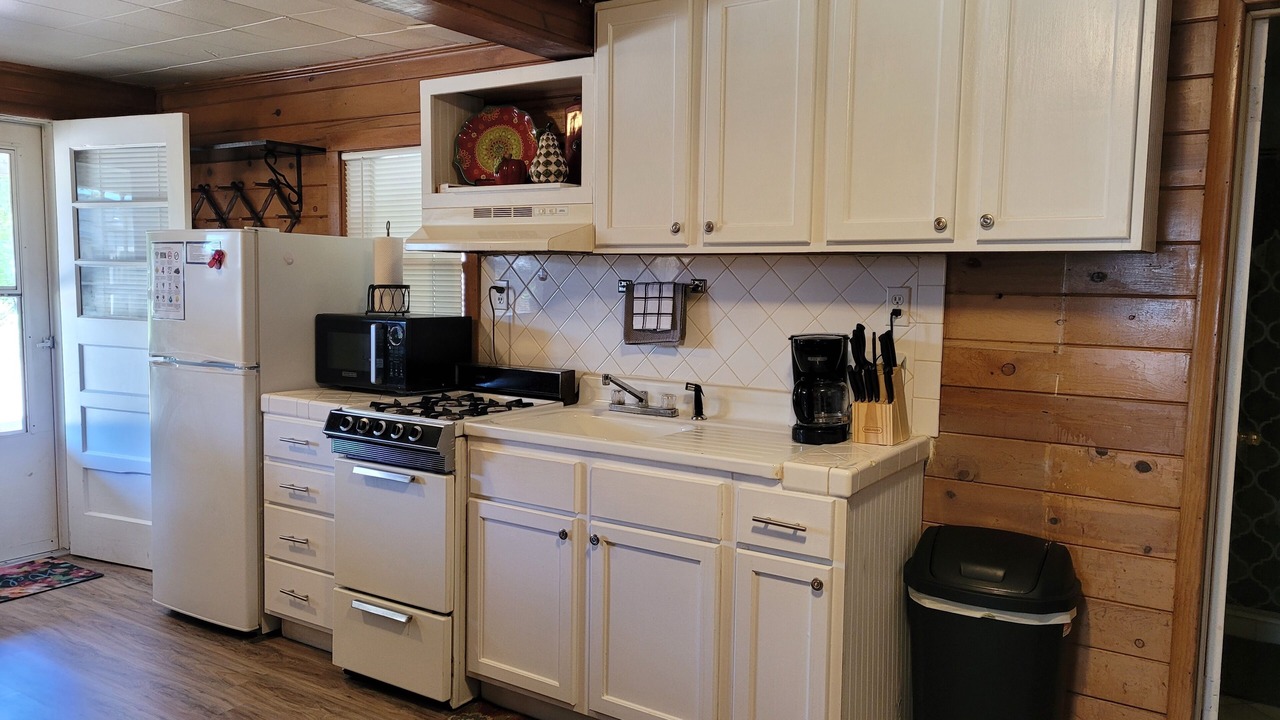Photo of Kitchen in Newaygo