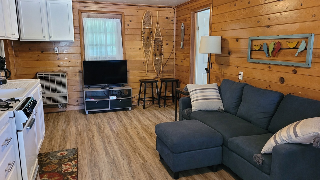 Photo of Livingroom in Newaygo