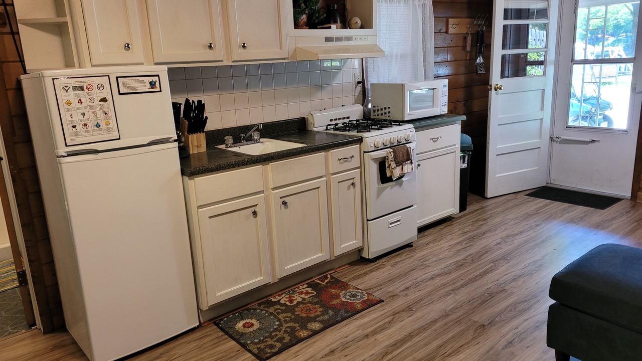 Photo of Kitchen in Newaygo