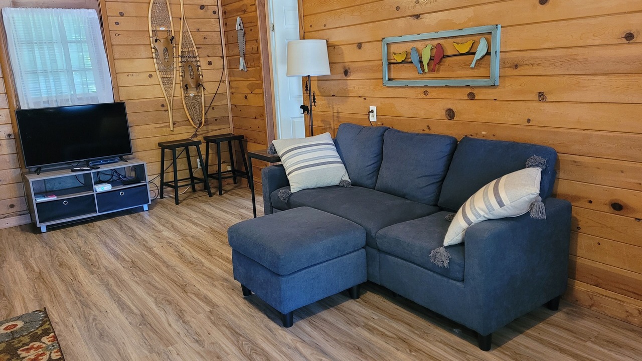 Photo of Livingroom in Newaygo