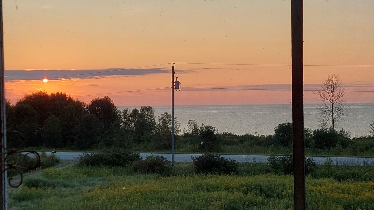 Photo of Others in Algoma