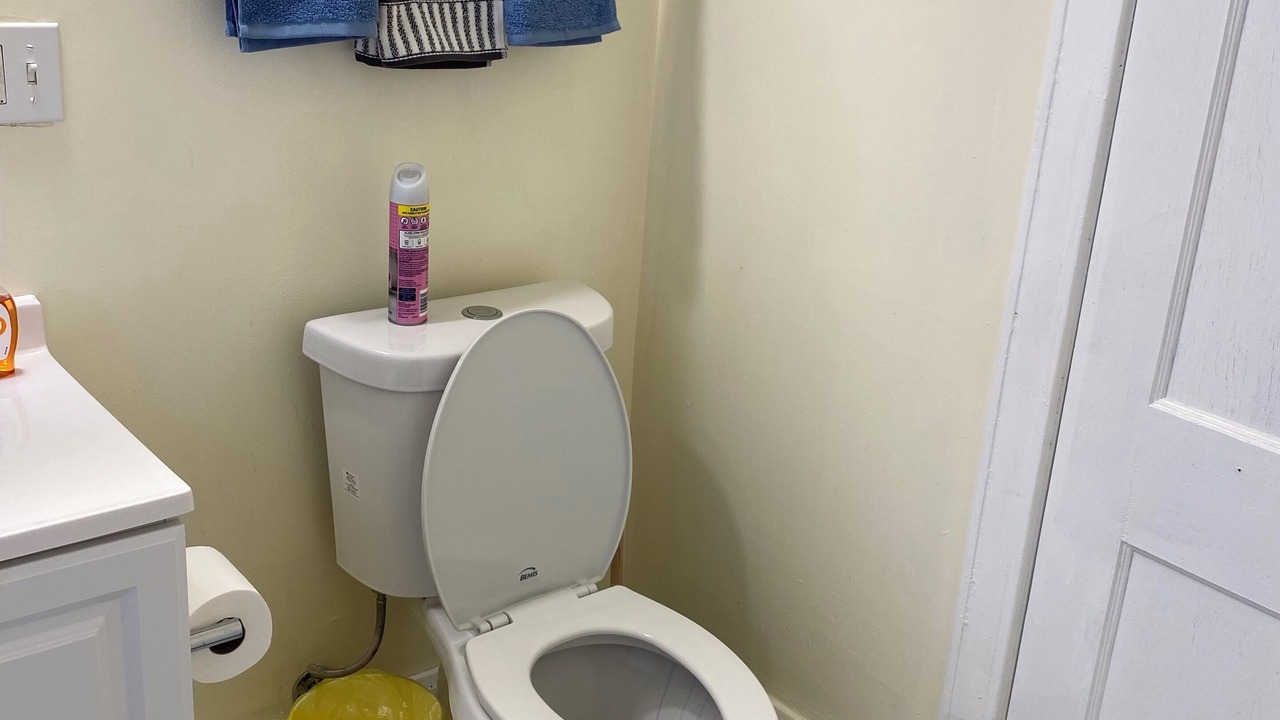 Photo of Bathroom in Greater Grand Crossing