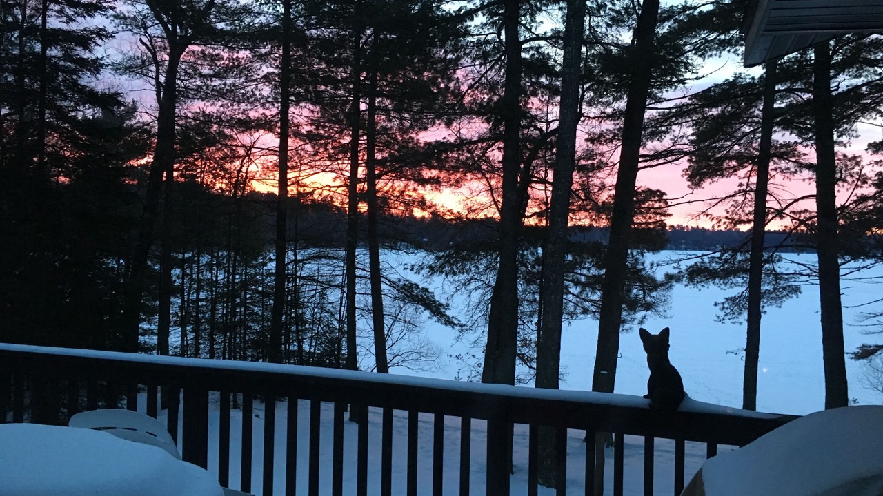 Photo of Outdoor in Eagle River