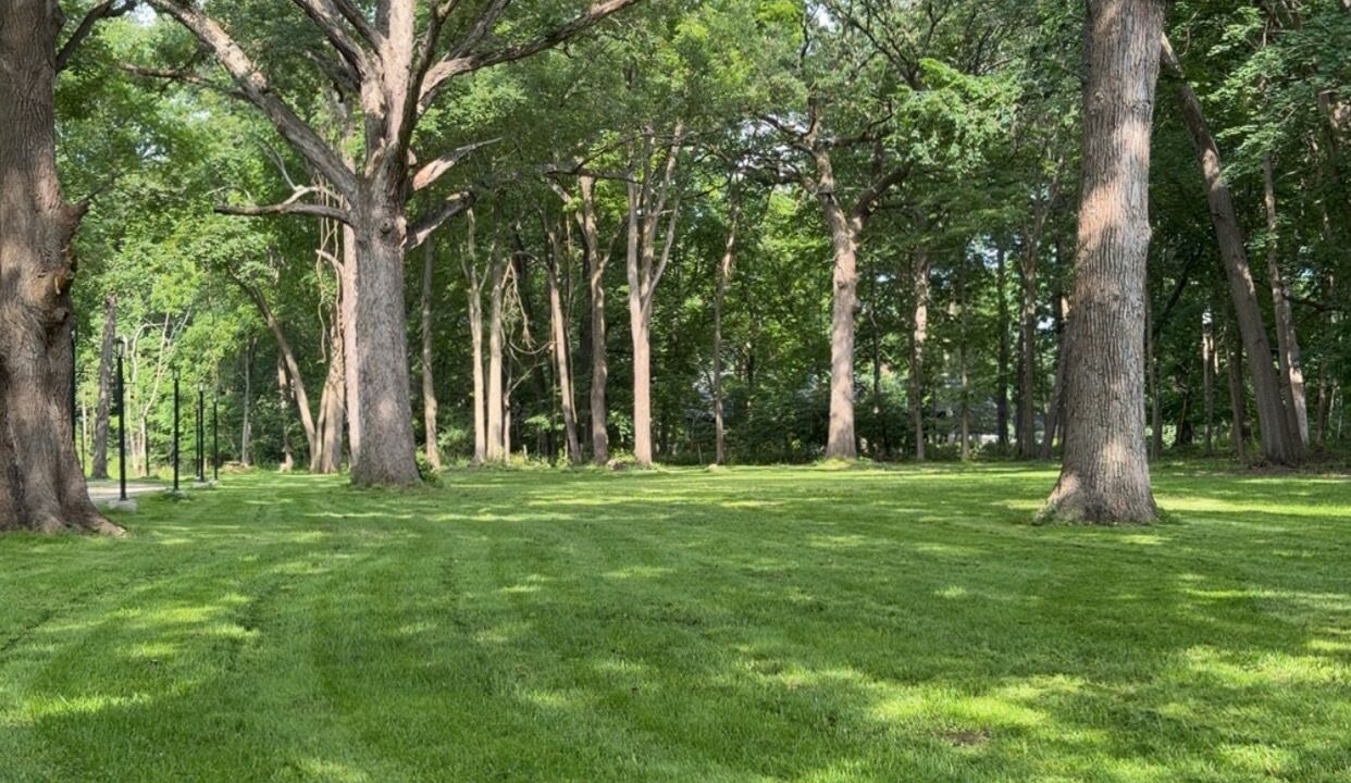 Photo of Others in Plano