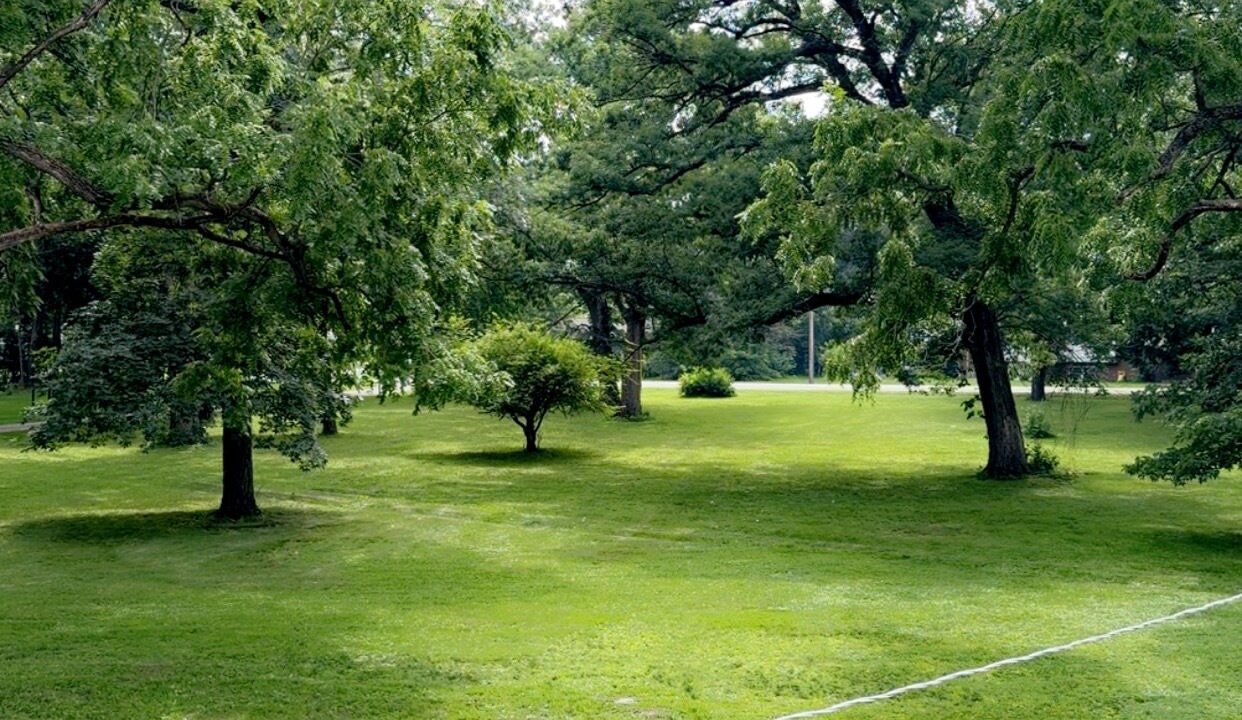 Photo of Others in Plano