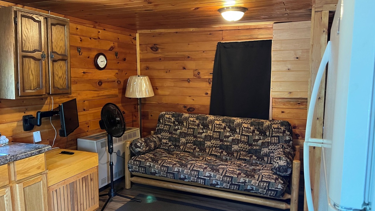 Photo of Livingroom in Lac La Belle