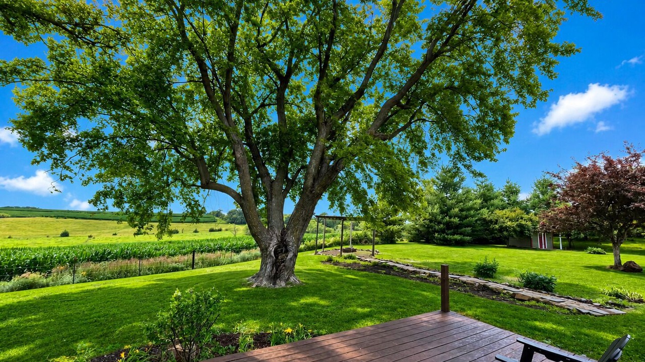 Photo of Outdoor in Cass County