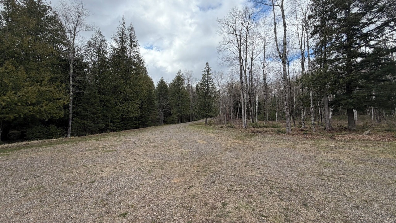 Photo of Others in Northland