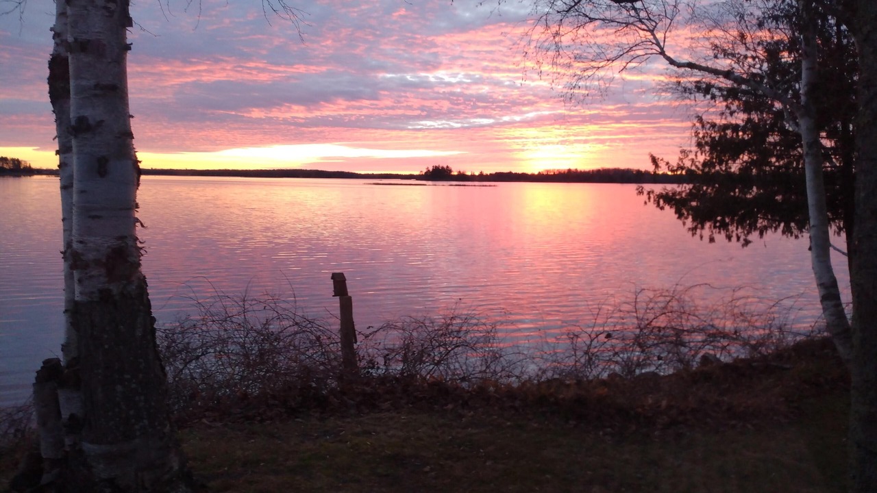 Photo of Others in Alpena