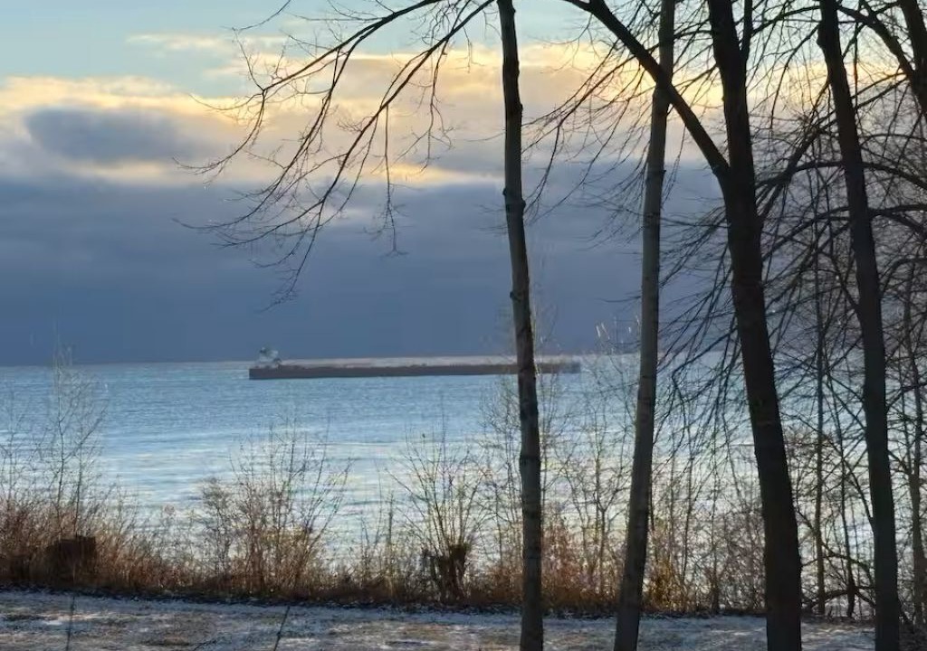 Photo of Others in Port Washington