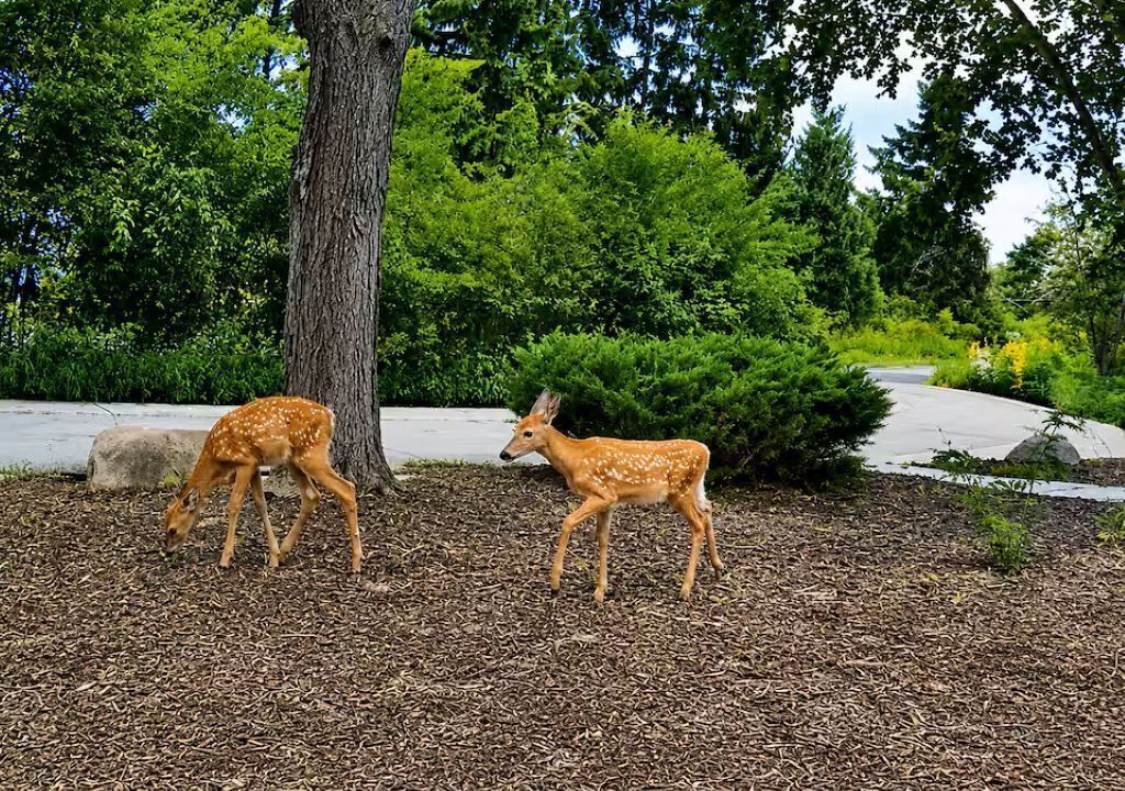 Photo of Outdoor in Port Washington
