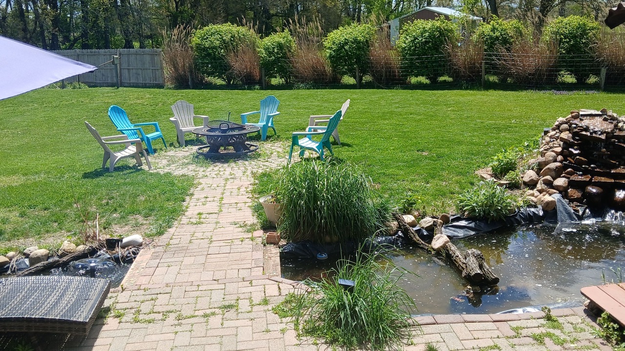 Photo of Outdoor in Niles