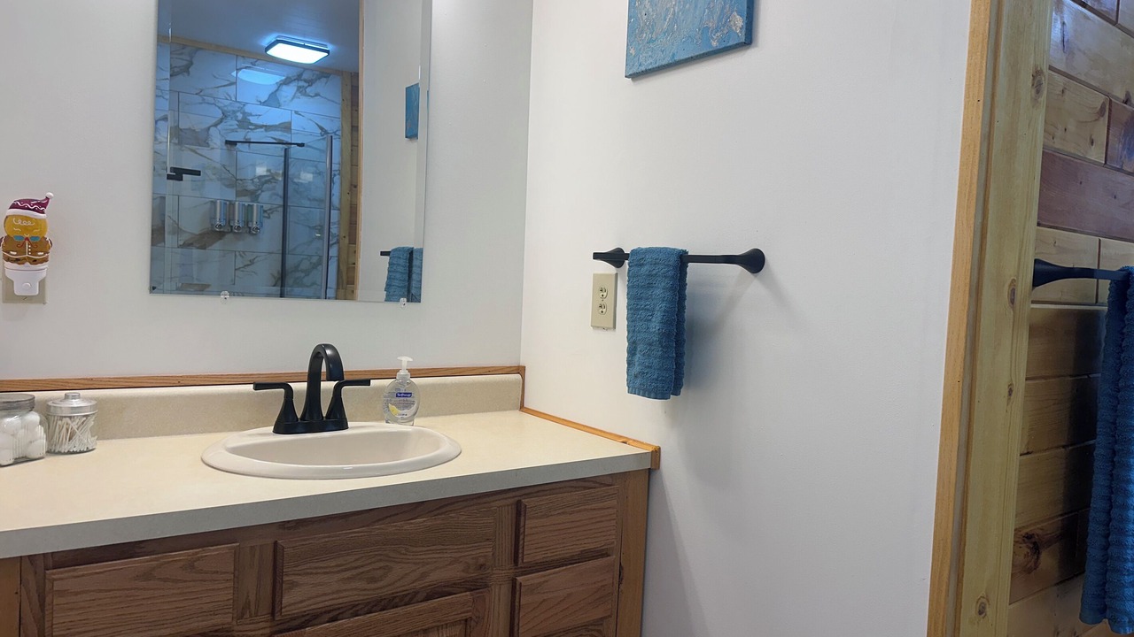 Photo of Bathroom in Christmas